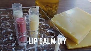 護唇膏製作_兩款配方Lip Balm