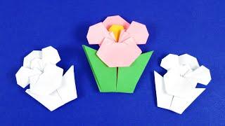 Paper flowers DIY origami flowers