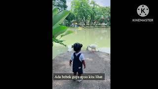 Review taman di DKI Jakarta Part 1  wahana bermain anak Air mancur dan angsanya loh #fyp  #fypシ