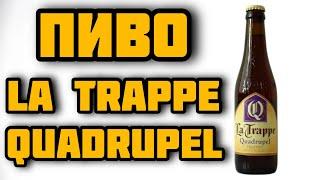 Обзор Траппистского Пива - La Trappe Quadrupel