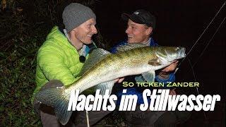 So ticken Zander Nachts im Stillwasser