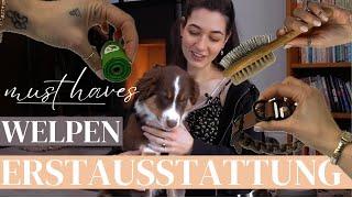 Checkliste Erstausstattung für einen Welpen  Mein Australian Shepherd Welpe zieht ein  Must-Haves