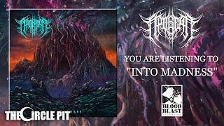 APOGEAN - Into Madness FULL EP STREAM Technical Death Metal  The Circle Pit