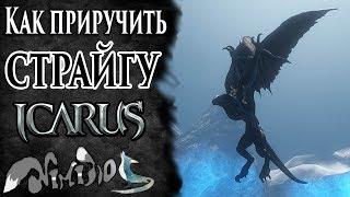 Icarus onlineRU. Как приручить...#39. Страйга. Берег Парны