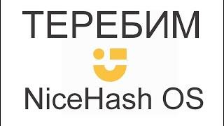 NiceHash OS - настройка майнинга с флешки