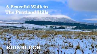 A Peaceful Wintry Walk in The Pentland Hills of Edinburgh in Scotland in the Snow.