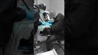  Лікування зубів під наркозом #стоматологія #зуби #наркоз