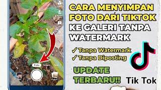 Cara Menyimpan Foto Dari Tiktok Ke Galeri Tanpa Watermark Tanpa Diposting