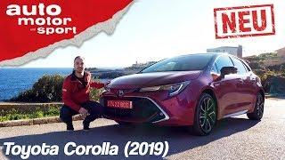 Toyota Corolla 2019 Das Mittel gegen Golf-Langeweile? – ReviewFahrbericht  auto motor & sport