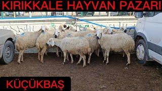 KIRIKKALE HAYVAN PAZARI KÜÇÜKBAŞ