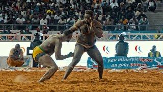Lutte Sénégalaise  le combat royal entre Modou Lô et Boy Niang 2 bat les records