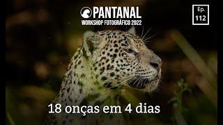 Relato do Workshop - Pantanal 2022
