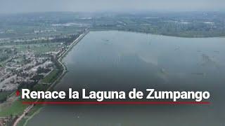 HAY ESPERANZA  La vida regresa a la Laguna de Zumpango tras un año en sequía