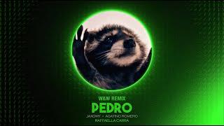 Jaxomy x Agatino Romero ft. Raffaella Carrà - Pedro W&W Remix