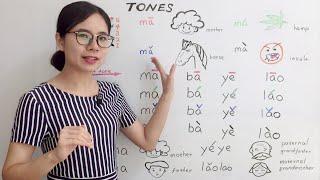 The Tones in Mandarin Chinese  Beginner Lesson 2  HSK 1