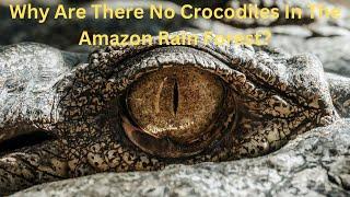 Why Are There No Crocodiles In The Amazon Rain Forest?