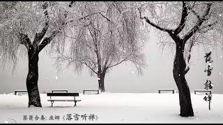 琴箫曲《落雪听禅》 巫娜  Chinese Guqin  & Vertical Bamboo Flute “Zen in the Falling Snow” WU Na