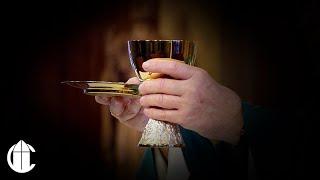 Catholic Mass Today 71424  Fifteenth Sunday in Ordinary Time