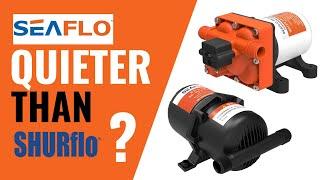 CaravanRV Water Pump Replacement - Is Seaflo quieter than Shurflo?