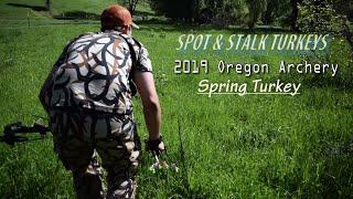 I SHOT MY FIRST TURKEY  2019 Oregon Turkey Archery Hunting