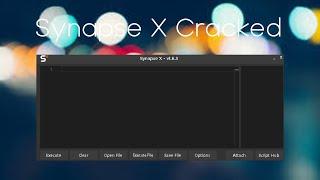 Free Synapse X Cracked