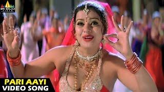 Andhrudu Songs  Pari Aayi Video Song  Gopichand Gowri Pandit  Sri Balaji Video