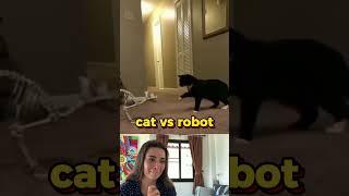 cat vs robot   part 53 #viral #fails #funny #humor #comedy