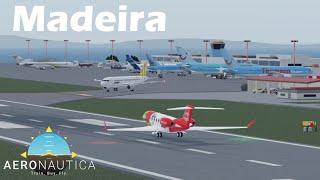 Madeira Amaras plane spotting - Aeronautica