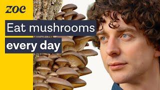 Mushrooms as medicine Uncovering the health secrets of fungi  Merlin Sheldrake & Prof. Tim Spector