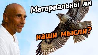 Материальны ли наши мысли?  Станислав Милевич сатсанг