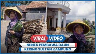 Viral Nenek Pembawa Daun Kering Ternyata Sultan Kampung