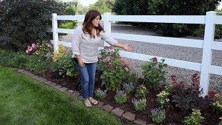 Designing a Narrow Flowerbed to Look Abundant  Garden Answer