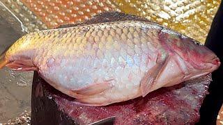 Amazing Cutting Skills  Big Carp Fish Cutting Skills Live In Fish Market