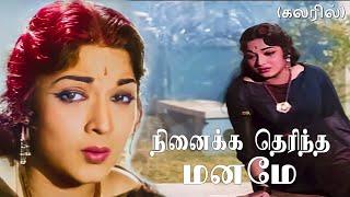 நினைக்க தெரிந்த மனமே  Ninaikka Therintha Maname Song -4K HD Video  #mgrsongs #tamiloldsongs