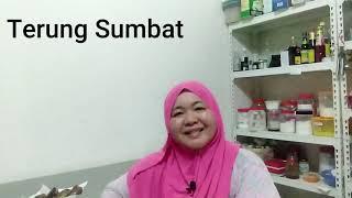 Terung Sumbat