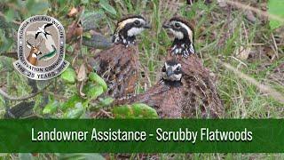 Landowner Assistance - Scrubby Flatwood Habitat Management