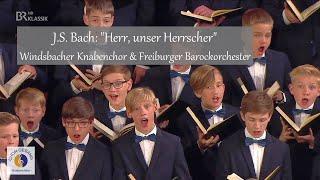 J.S. Bach Herr unser Herrscher  Windsbacher Knabenchor & Freiburger Barockorchester L. Böhme
