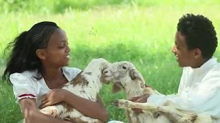 ያላኻ ያላኻ New Eritrean Music video 2017   Redwan Mahari Bambini Ft Yorkabiel Mahari Official