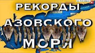 Sea of ​​Azov  sea ​​of ​​azov  eisk urzuf  temryuk Crimea 2021  Crimea today  golubitskaya 2020