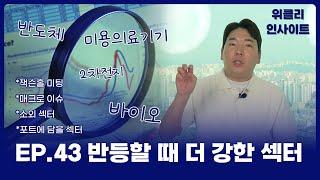 위클리 인사이트 메리트 크고 주가도 좋은 자리에 있는 종목들