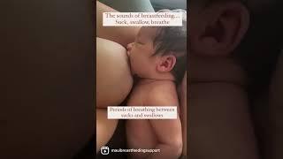 The sweet noises of breastfeeding- Suck swallow breathe