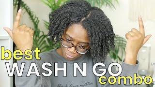 BEST WASH N GO COMBO FOR MOISTURIZED AND DEFINED CURLS  PERFECT FOR TYPE 4 HAIR