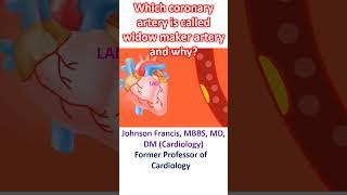 Which coronary artery is called widow maker artery and why?