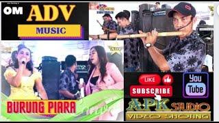 BIDUAN CANTIK ORKES PALEMBANG  ADV Music feat APK STUDIO