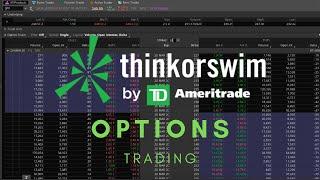 ThinkorSwim Tutorial Options Trading