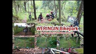 WERINGIN Bikepark Cukurguling Lumbang Pasuruan #gowes #siskiu  #polygonbike #pasuruan