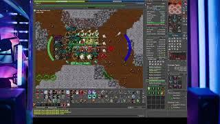 tibia hunt Carnivoras 31kk exp ‐1100kk profit