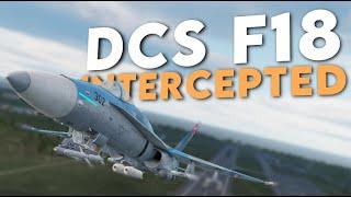 F-18 Hornet Online Play - Intercepted Over the Caucasus