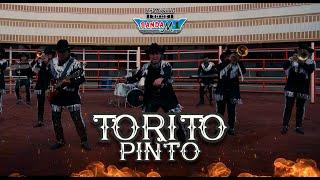 Banda M-1 - Torito Pinto Video Oficial