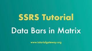 SSRS Tutorial - Data Bars in Matrix